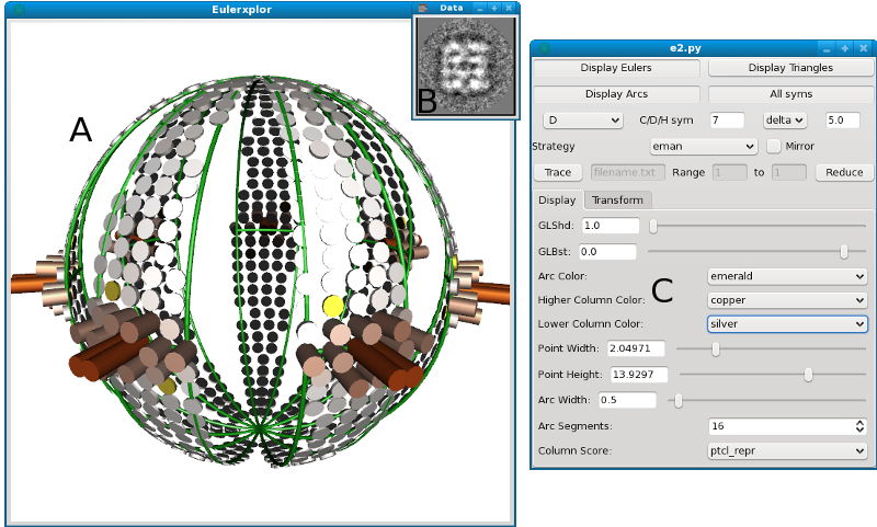 euler_display_1.png