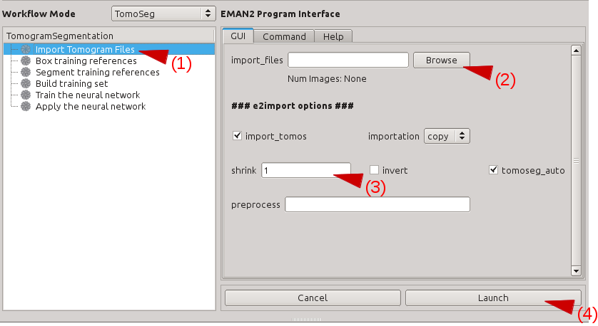 Import Tomogram