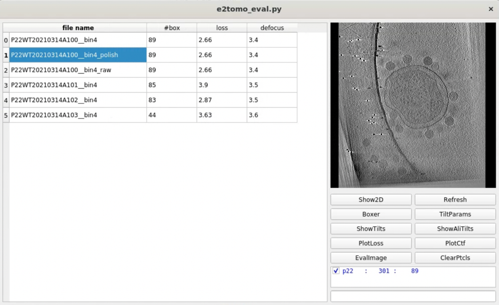 Evaluate tomogram