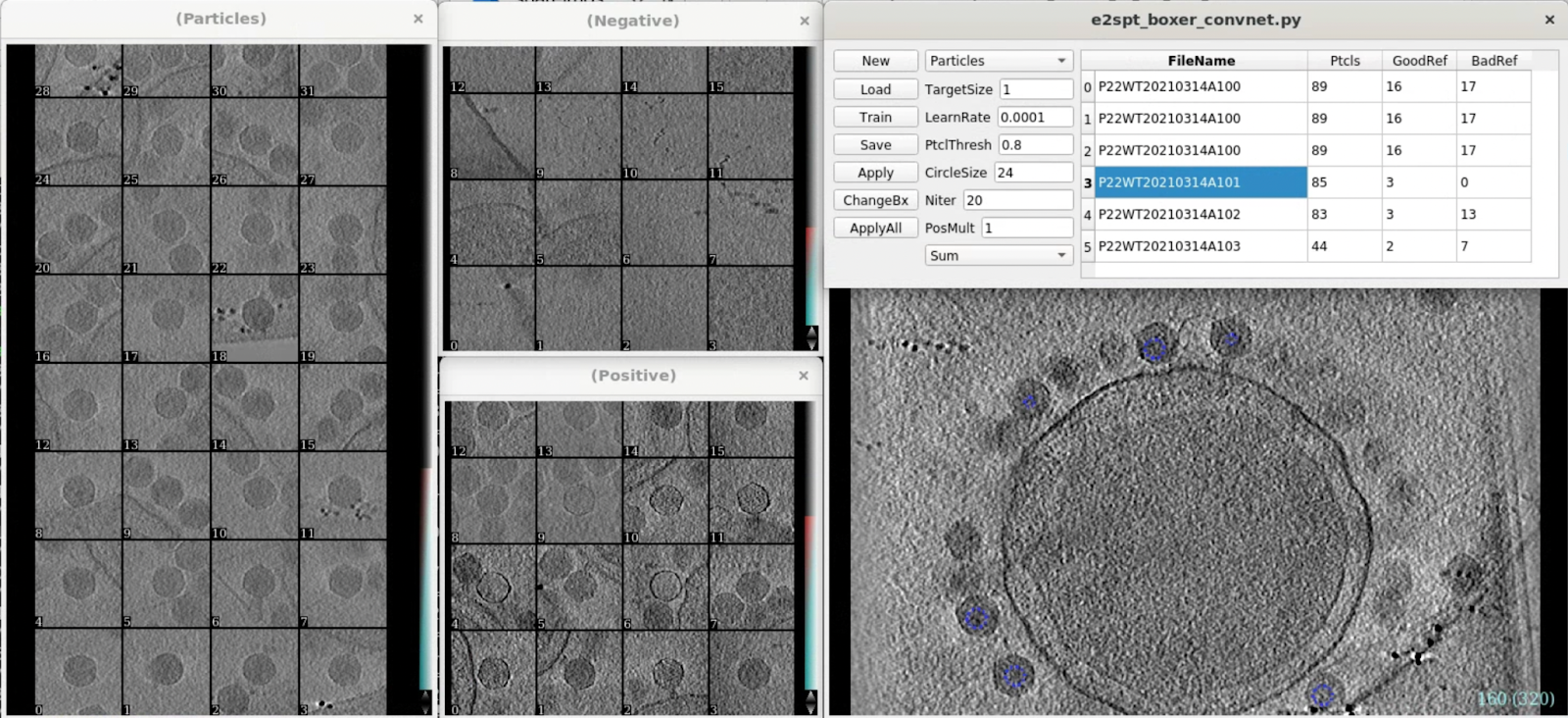 Particle picking