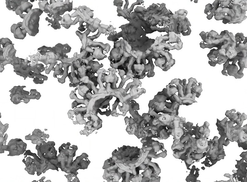 Particles in tomo | width="600"